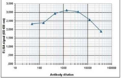 ELISA: Histone H3 [ac Lys14] Antibody [NBP2-59275] - To determine the titer of the antibody, an ELISA was performed using a serial dilution of the antibody directed against H3K14ac in antigen coated wells. The antigen used was a peptide containing the histone modification of interest. By plotting the absorbance against the antibody dilution, the titer of the antibody was estimated to be 1:73,200.